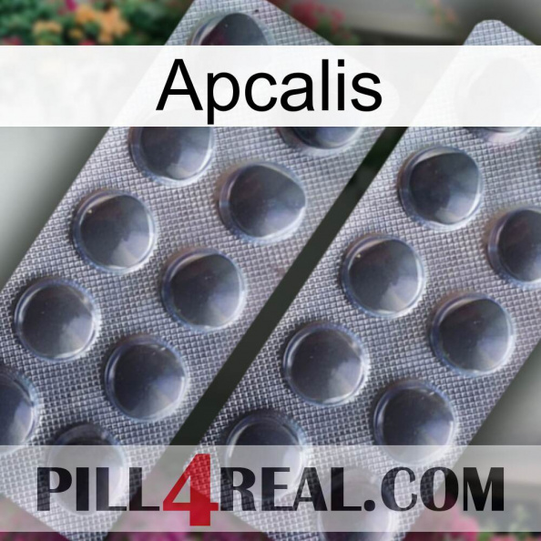 Apcalis 31